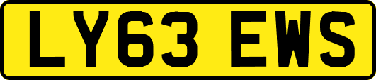 LY63EWS