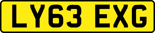 LY63EXG