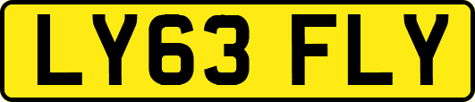 LY63FLY