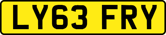 LY63FRY