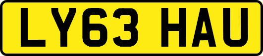 LY63HAU