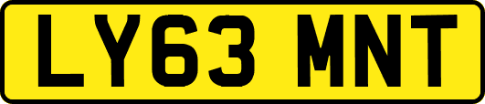 LY63MNT
