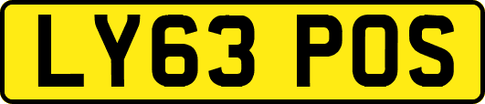 LY63POS