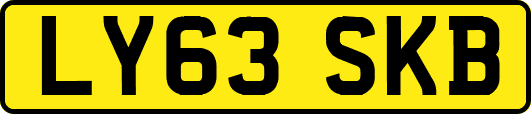 LY63SKB