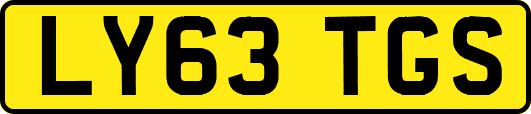 LY63TGS