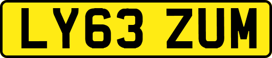 LY63ZUM