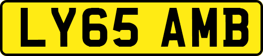 LY65AMB