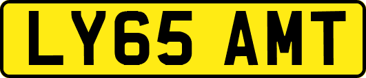 LY65AMT