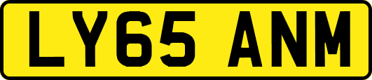 LY65ANM