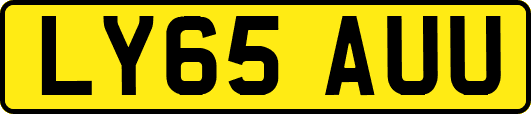 LY65AUU