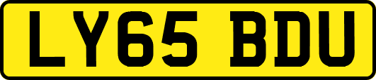 LY65BDU