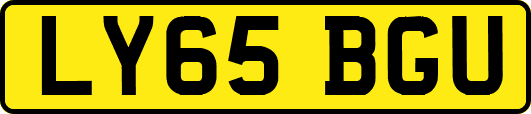 LY65BGU
