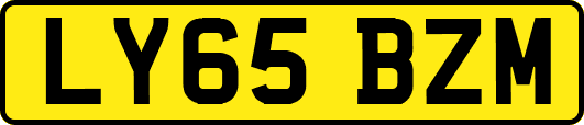 LY65BZM