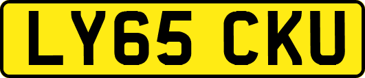 LY65CKU
