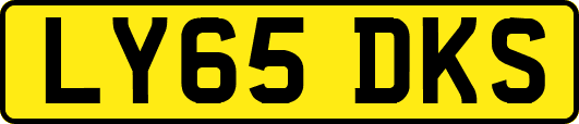 LY65DKS