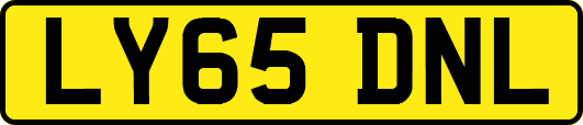 LY65DNL