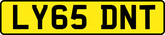 LY65DNT
