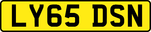 LY65DSN