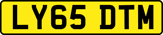 LY65DTM