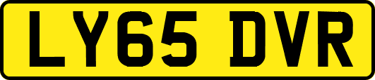 LY65DVR