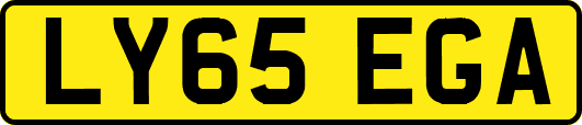 LY65EGA