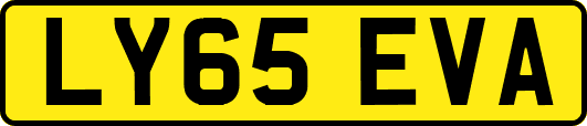 LY65EVA