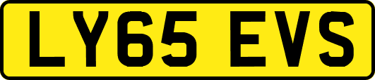 LY65EVS