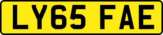 LY65FAE