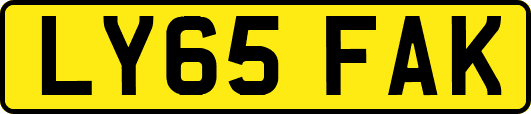 LY65FAK
