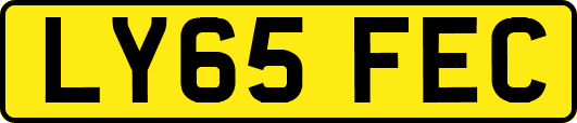 LY65FEC
