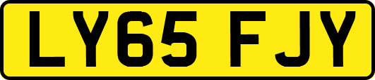 LY65FJY
