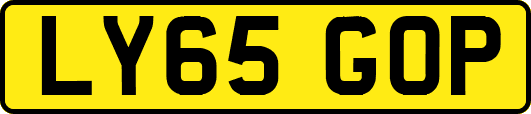LY65GOP