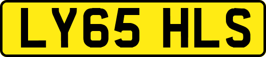 LY65HLS