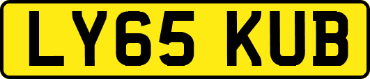LY65KUB