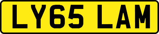 LY65LAM