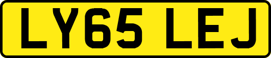 LY65LEJ