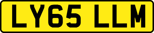 LY65LLM