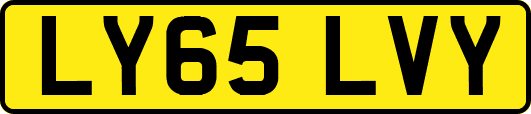 LY65LVY
