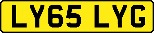 LY65LYG