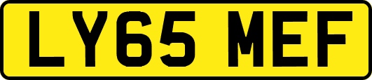 LY65MEF