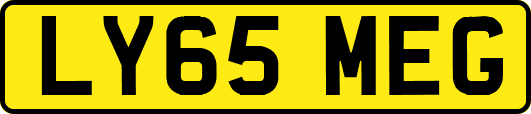 LY65MEG