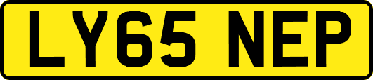 LY65NEP