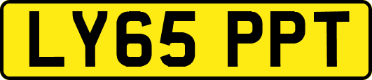 LY65PPT