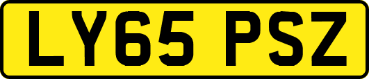 LY65PSZ