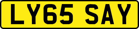 LY65SAY
