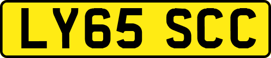 LY65SCC