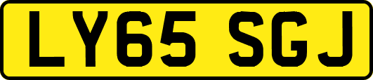 LY65SGJ