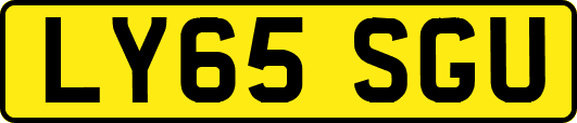 LY65SGU