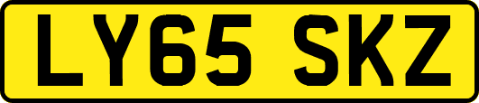 LY65SKZ