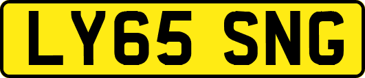 LY65SNG